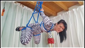 Zebra Suspension