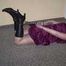 Miri Pics 001