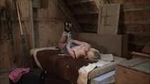Kate - The girl of the banker Part 5 of 6