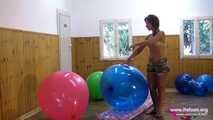 Bibi 33