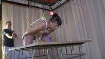 suspension on knees 2/2