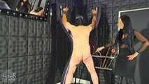 Whips for the Slavesass
