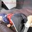SANDRA tied, gagged and hooded with ropes on a bed wearing a supersexy oldschool rain jacket and a shiny nylon rain pants (Pics)