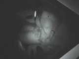 HIDDEN CAM AND FUCKING COUPLES