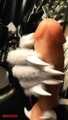 Jerk off like Furry Fox wants