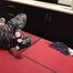 Minuit at BoundCon meets Feringapark