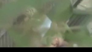 HEIMLICH BEOBACHTET UND DU DABEI