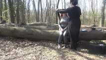tied up in the woods