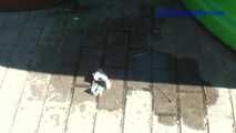 069019 Tiffany Takes A Very Daring Pee In The Street