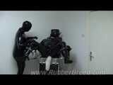 Male dog on the gynecological chair