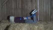 Elysa im hogtie 1/2