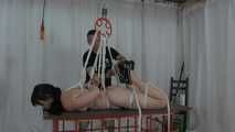 Suspension. Hook und Gewichte  1 von 2