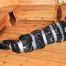 [From archive] Veronika - self packed in trash bag 2