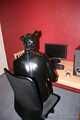 PC Dog