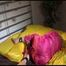 Get 2 Videos with Lucy bound and gagged enjoying her shiny nylon Rainwear from our 2016 Archive