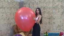 Ginevra 03