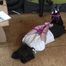Susan gets bound with pink ropes 2/2 