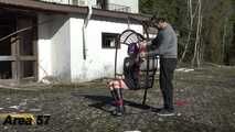 Der Korb