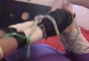 ab-038 Aerobic Girl in Trouble (3)
