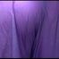 Mara tied, gagged and hooded in a shower wearing a sexy purple rain combination (Video)