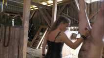 Abrichtung im Stall mit Mistress Kristin 