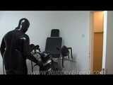 Male dog on the gynecological chair