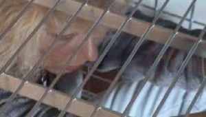 ab-007 Silvi: Hijacked (3)