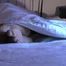 Sniff my dirty naptime feet