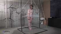 Sophia Rope Bondage And Bitter BDSM Play