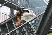 Stella roped on stairs PICS
