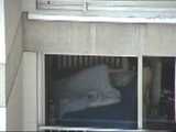 HIDDEN CAM AND FUCKING COUPLES