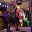 Shibari Suspension Demo