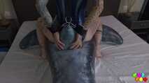 1436 free clip