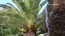 030045 Salma Pees On The Garden Steps