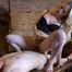 Deeper Lessons in Femdom Sex