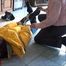 Request video Tanja - The burglar Part 2 of 5
