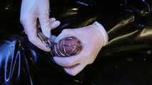 Lady Letizia - Locked up after Milking
