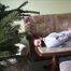 Wunschvideo Zora - Fuß Model Job als Köder Teil 6 von 8
