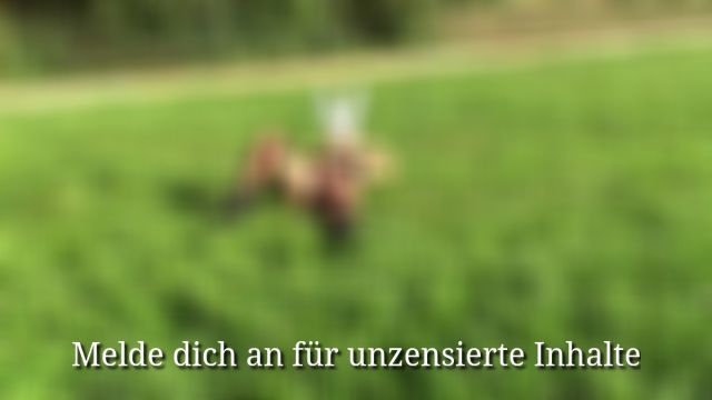 3 Videos aus meinen Anfängen