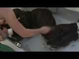 Watch Maggy beeing bound and gagged in a bathtube wearing a shiny nylon Skisuit from our Archives 2012