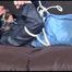 ***HOT PIA*** tied, gagged and hooded with ropes and a cloth gag on bed wearing an oldschool rain jacket and a rain pant (Video)