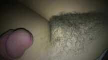 THE FAT ON THE HAIRY