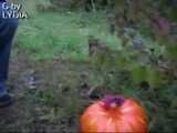 GEILER FICK AN HALLOWEEN