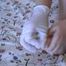 painting the feetnails