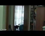 Sabrina's Application - part 4 - DVD (8)