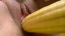 2 FICKERS AND 1 CORN