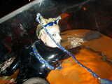 Fetish Evolution 2004 Pt. 03