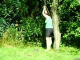 On a tree 2/3