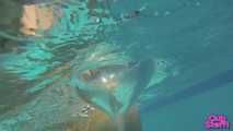 482 pool massacre