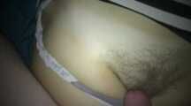 THE FAT ON THE HAIRY